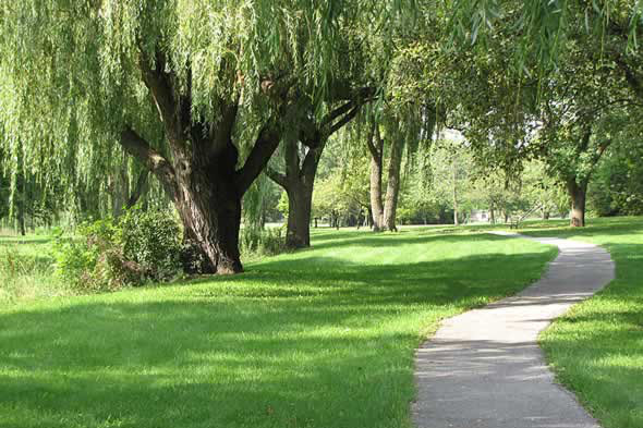 Park Forest