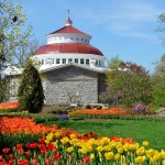 Michelle Curley-cinci zoo-bg