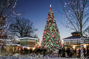 cinci zoo-bg-christmas tree