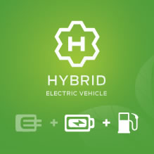 Hybridicon