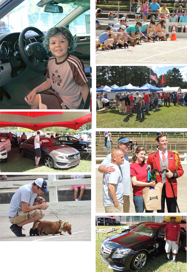 Germantown Festival