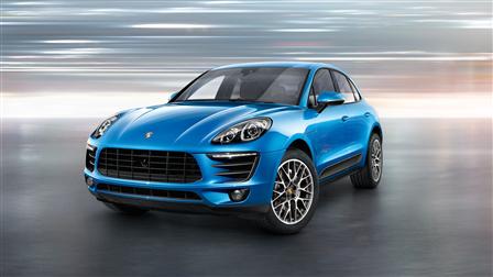 Macan On Grey